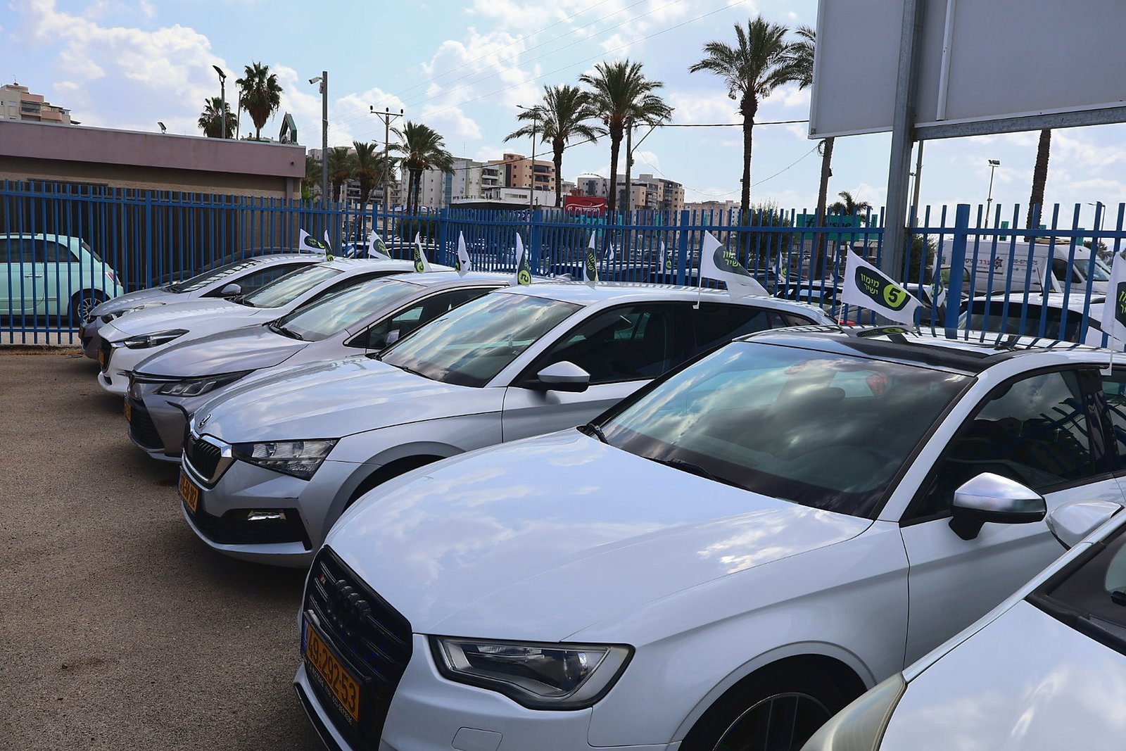 רכבים במגרש